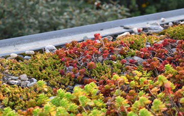 the cost of Pasford green roof installation