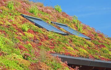 Pasford living roof systems