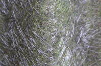 Pasford fibreglass roof work